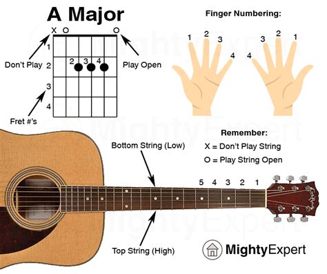 50+ Easy Guitar Songs For Every Beginner .